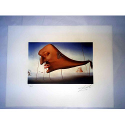 Salvador Dali Lithografie off set 50x65 cm gecertificeerd