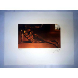 Salvador Dali Lithographie Offset 50x65 cm zertifiziert