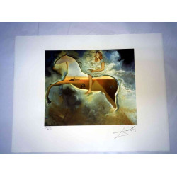 Salvador Dali Lithografie off set 50x65 cm gecertificeerd