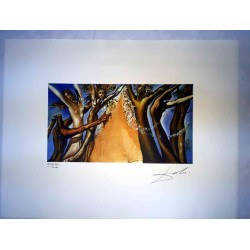 Salvador Dali Lithografie off set 50x65 cm gecertificeerd