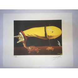 Salvador Dali Lithografie off set 50x65 cm gecertificeerd