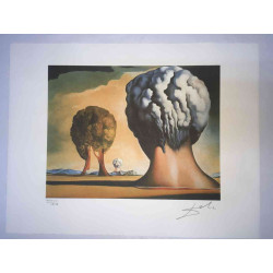 Salvador Dali Lithographie Offset 50x65 cm zertifiziert