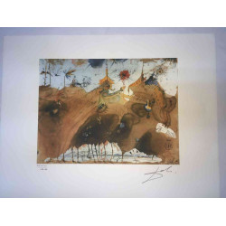 Salvador Dali Lithografie off set 50x65 cm gecertificeerd