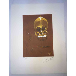 Salvador Dali Lithografie off set 50x65 cm gecertificeerd
