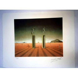 Salvador Dali Lithographie Offset 50x65 cm zertifiziert