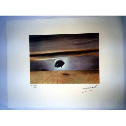 Salvador Dali Lithografie off set 50x65 cm gecertificeerd