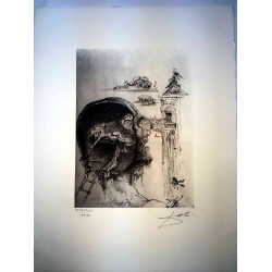 Salvador Dali Lithografie off set 50x65 cm gecertificeerd