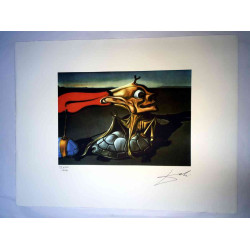 Salvador Dali Lithographie Offset 50x65 cm zertifiziert