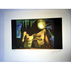 Salvador Dali Lithographie Offset 50x65 cm zertifiziert