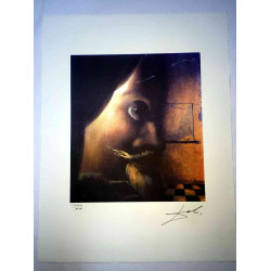 Salvador Dali Lithografie off set 50x65 cm gecertificeerd