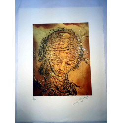 Salvador Dali Lithographie Offset 50x65 cm zertifiziert
