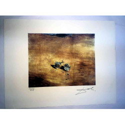 Salvador Dali Lithografie off set 50x65 cm gecertificeerd