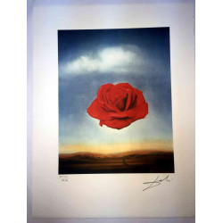 Salvador Dali Lithographie Offset 50x65 cm zertifiziert