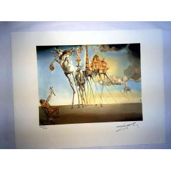 Salvador Dali Lithographie Offset 50x65 cm zertifiziert