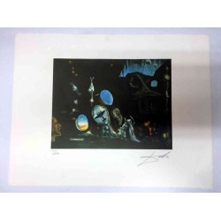 Salvador Dali Lithografie off set 50x65 cm gecertificeerd