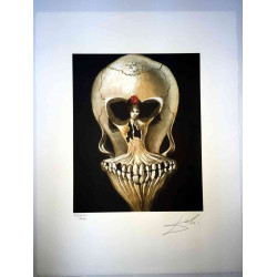 Salvador Dali Lithografie off set 50x65 cm gecertificeerd