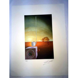 Salvador Dali Lithographie Offset 50x65 cm zertifiziert