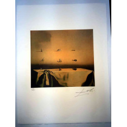 Salvador Dali Lithographie Offset 50x65 cm zertifiziert