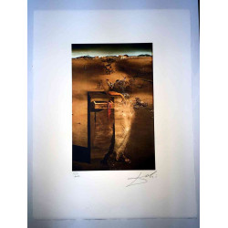 Salvador Dali Lithographie Offset 50x65 cm zertifiziert