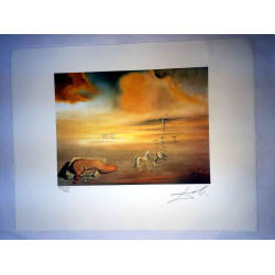 Salvador Dali 50x65 cm-ko litografia-sorta ziurtatua