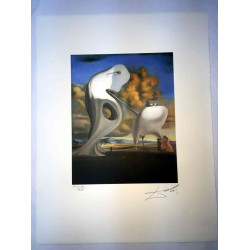 Salvador Dali Litografia off set cm 50x65   certificata