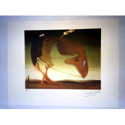 Salvador Dali Litografia off set cm 50x65   certificata