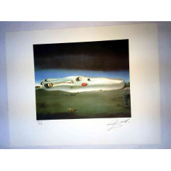 Salvador Dali Litografia off set cm 50x65   certificata