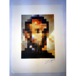Litografía Salvador Dali off set 50x65 cm certificada