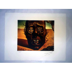 Litografía Salvador Dali off set 50x65 cm certificada