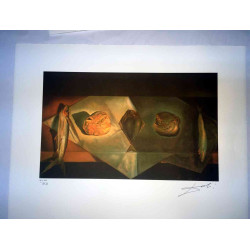 Setul de litografie Salvador Dali 50x65 cm certificat