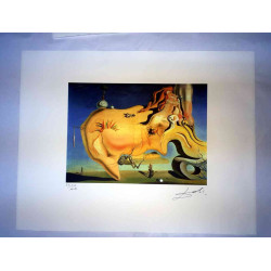 Salvador Dali Off set lithograph cm 50x65 certified