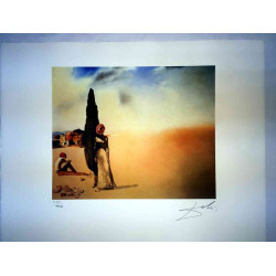 Salvador Dali Litografia off set cm 50x65   certificata