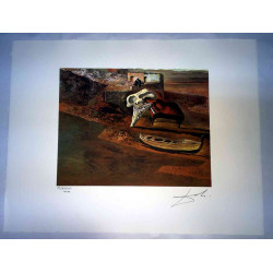 Salvador Dali Lithographie hors set 50x65 cm certifiée