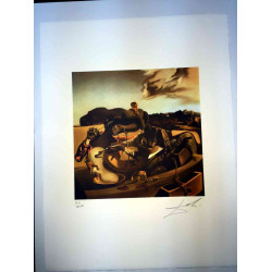 Litografická súprava Salvador Dali certifikovaná 50x65 cm