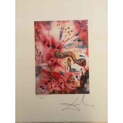 Litografická súprava Salvador Dali certifikovaná 50x65 cm