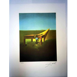 Litografía Salvador Dali off set 50x65 cm certificada