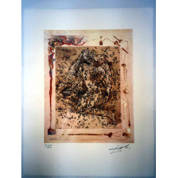Salvador Dali Lithografie off set 50x65 cm gecertificeerd