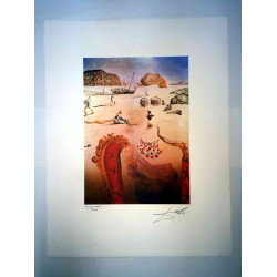 Litografía Salvador Dali off set 50x65 cm certificada