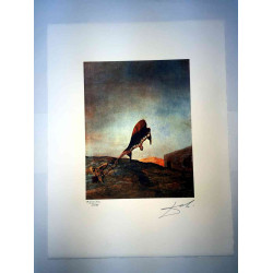 Salvador Dali 50x65 cm-ko litografia-sorta ziurtatua