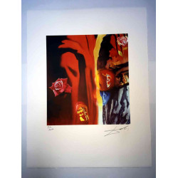 Salvador Dali Off set lithograph cm 50x65 certified