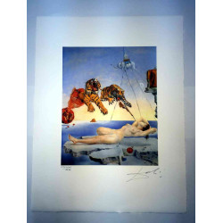 Salvador Dali Off set lithograph cm 50x65 certified