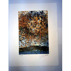 Litografická sada Salvador Dali s certifikací 50x65 cm