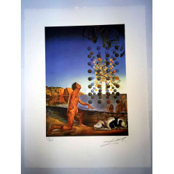 Salvador Dali Litografia off set cm 50x65   certificata