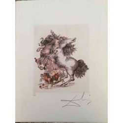 Salvador Dali Lithographie hors set 50x65 cm certifiée