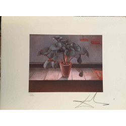Litografía Salvador Dali off set 50x65 cm certificada
