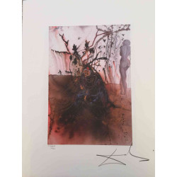 Litografía Salvador Dali off set 50x65 cm certificada
