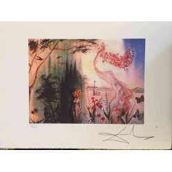 Salvador Dali Lithografie off set 50x65 cm gecertificeerd