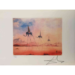 Salvador Dali Litografia off set cm 50x65   certificata