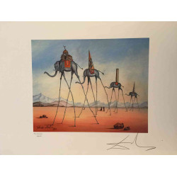 Salvador Dali Off set lithograph cm 50x65 certified