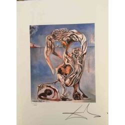 Litografická súprava Salvador Dali certifikovaná 50x65 cm